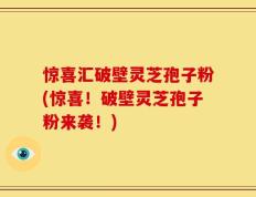 惊喜汇破壁灵芝孢子粉(惊喜！破壁灵芝孢子粉来袭！)