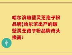 哈尔滨破壁灵芝孢子粉品牌(哈尔滨出产的破壁灵芝孢子粉品牌改头换面！