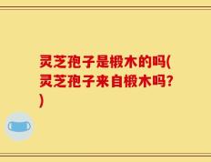 灵芝孢子是椴木的吗(灵芝孢子来自椴木吗？)