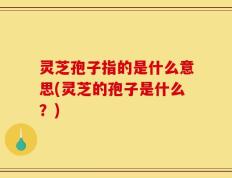 灵芝孢子指的是什么意思(灵芝的孢子是什么？)
