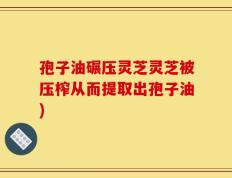 孢子油碾压灵芝灵芝被压榨从而提取出孢子油)