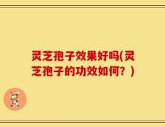 灵芝孢子效果好吗(灵芝孢子的功效如何？)