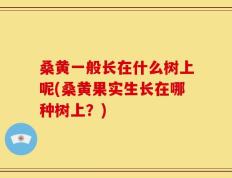 桑黄一般长在什么树上呢(桑黄果实生长在哪种树上？)