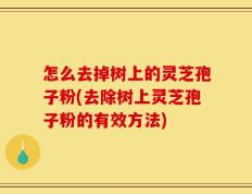 怎么去掉树上的灵芝孢子粉(去除树上灵芝孢子粉的有效方法)