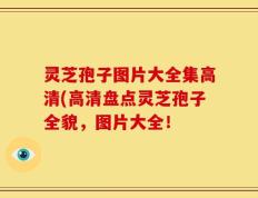 灵芝孢子图片大全集高清(高清盘点灵芝孢子全貌，图片大全！