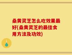 桑黄灵芝怎么吃效果最好(桑黄灵芝的最佳食用方法及功效)