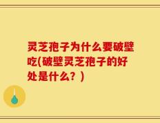 灵芝孢子为什么要破壁吃(破壁灵芝孢子的好处是什么？)