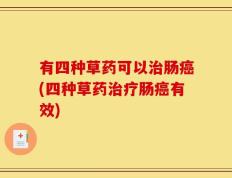 有四种草药可以治肠癌(四种草药治疗肠癌有效)
