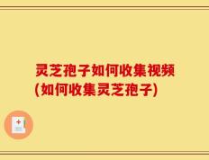 灵芝孢子如何收集视频(如何收集灵芝孢子)