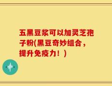 五黑豆浆可以加灵芝孢子粉(黑豆奇妙组合，提升免疫力！)
