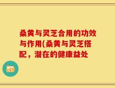 桑黄与灵芝合用的功效与作用(桑黄与灵芝搭配，潜在的健康益处