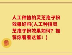 人工种植的灵芝孢子粉效果好吗(人工种植灵芝孢子粉效果如何？推荐你看看这篇！)