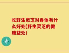 吃野生灵芝对身体有什么好处(野生灵芝的健康益处)