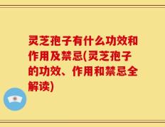 灵芝孢子有什么功效和作用及禁忌(灵芝孢子的功效、作用和禁忌全解读)