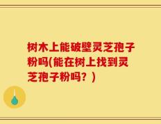 树木上能破壁灵芝孢子粉吗(能在树上找到灵芝孢子粉吗？)