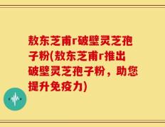敖东芝甫r破壁灵芝孢子粉(敖东芝甫r推出破壁灵芝孢子粉，助您提升免疫力)