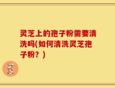灵芝上的孢子粉需要清洗吗(如何清洗灵芝孢子粉？)