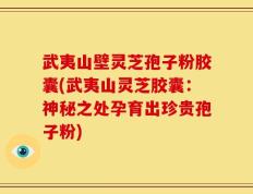武夷山壁灵芝孢子粉胶囊(武夷山灵芝胶囊：神秘之处孕育出珍贵孢子粉)