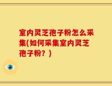 室内灵芝孢子粉怎么采集(如何采集室内灵芝孢子粉？)