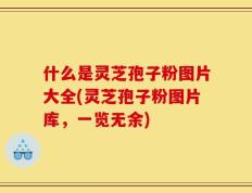 什么是灵芝孢子粉图片大全(灵芝孢子粉图片库，一览无余)