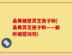 桑黄破壁灵芝孢子粉(桑黄灵芝孢子粉——解析破壁功效)