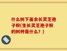 什么树下面会长灵芝孢子粉(生长灵芝孢子粉的树种是什么？)