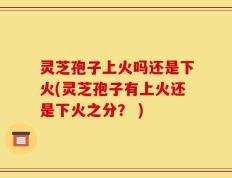 灵芝孢子上火吗还是下火(灵芝孢子有上火还是下火之分？ )