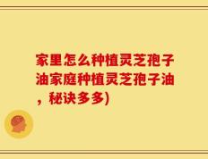 家里怎么种植灵芝孢子油家庭种植灵芝孢子油，秘诀多多)