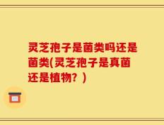 灵芝孢子是菌类吗还是菌类(灵芝孢子是真菌还是植物？)
