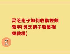 灵芝孢子如何收集视频教学(灵芝孢子收集视频教程)