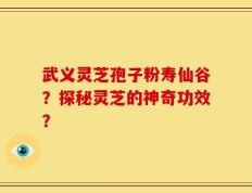 武义灵芝孢子粉寿仙谷？探秘灵芝的神奇功效？