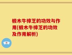 椴木牛樟芝的功效与作用(椴木牛樟芝的功效及作用解析)