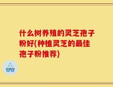 什么树养殖的灵芝孢子粉好(种植灵芝的最佳孢子粉推荐)