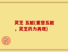 灵芝 五脏(重塑五脏，灵芝药力再现)