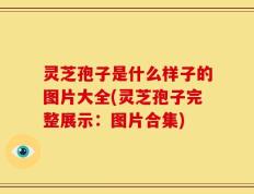灵芝孢子是什么样子的图片大全(灵芝孢子完整展示：图片合集)