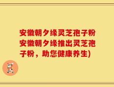 安徽朝夕缘灵芝孢子粉安徽朝夕缘推出灵芝孢子粉，助您健康养生)