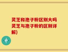 灵芝和孢子粉区别大吗灵芝与孢子粉的区别详解)