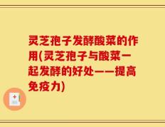 灵芝孢子发酵酸菜的作用(灵芝孢子与酸菜一起发酵的好处——提高免疫力)
