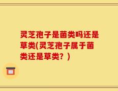 灵芝孢子是菌类吗还是草类(灵芝孢子属于菌类还是草类？)