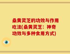 桑黄灵芝的功效与作用吃法(桑黄灵芝：神奇功效与多种食用方式)
