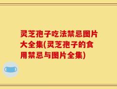 灵芝孢子吃法禁忌图片大全集(灵芝孢子的食用禁忌与图片全集)