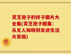 灵芝孢子的样子图片大全集(灵芝孢子图集：从无人知晓到走进生活大家庭)