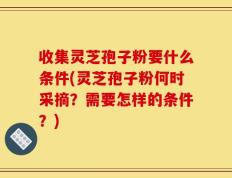 收集灵芝孢子粉要什么条件(灵芝孢子粉何时采摘？需要怎样的条件？)