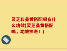 灵芝和桑黄搭配喝有什么功效(灵芝桑黄搭配喝，功效神奇！)