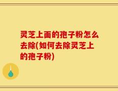 灵芝上面的孢子粉怎么去除(如何去除灵芝上的孢子粉)