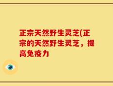 正宗天然野生灵芝(正宗的天然野生灵芝，提高免疫力