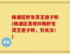 杨浦区野生灵芝孢子粉(杨浦区发现珍稀野生灵芝孢子粉，引关注！)