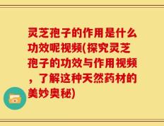 灵芝孢子的作用是什么功效呢视频(探究灵芝孢子的功效与作用视频，了解这种天然药材的美妙奥秘)