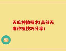 天麻种植技术(高效天麻种植技巧分享)