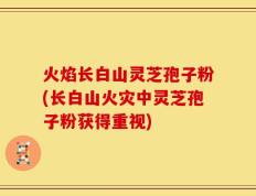 火焰长白山灵芝孢子粉(长白山火灾中灵芝孢子粉获得重视)